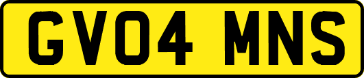 GV04MNS