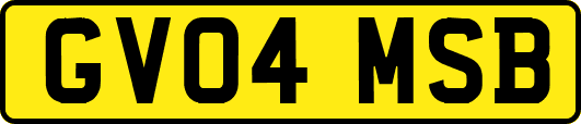 GV04MSB