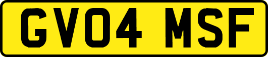 GV04MSF