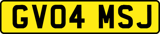 GV04MSJ