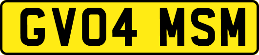 GV04MSM