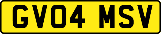 GV04MSV