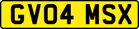 GV04MSX
