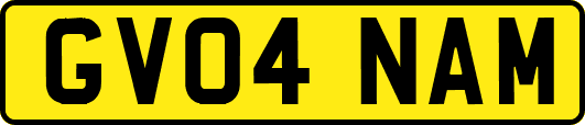 GV04NAM