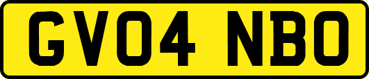 GV04NBO