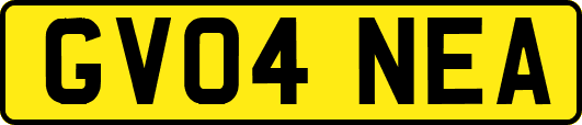 GV04NEA