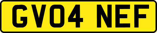 GV04NEF
