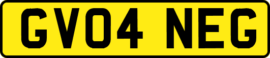 GV04NEG