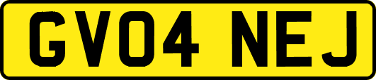 GV04NEJ