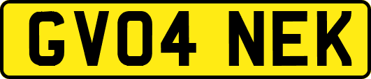 GV04NEK