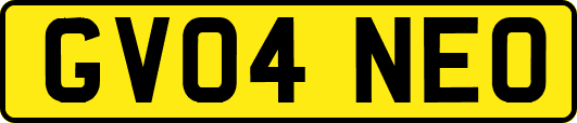 GV04NEO