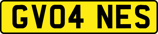 GV04NES