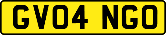 GV04NGO
