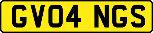 GV04NGS