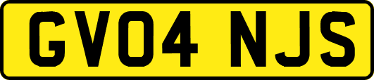 GV04NJS