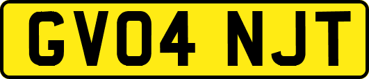 GV04NJT