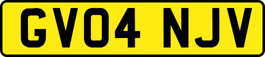 GV04NJV