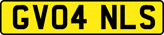 GV04NLS