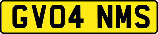 GV04NMS