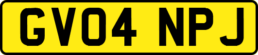 GV04NPJ