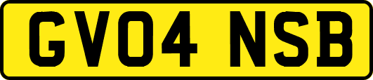 GV04NSB