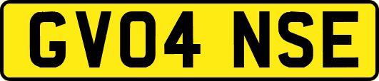 GV04NSE