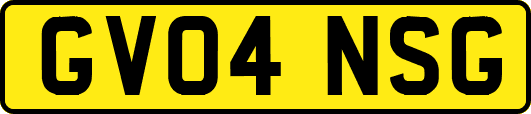 GV04NSG