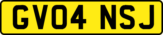 GV04NSJ