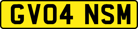 GV04NSM