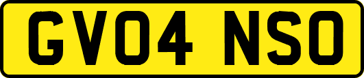 GV04NSO