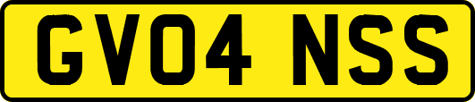 GV04NSS