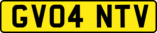 GV04NTV