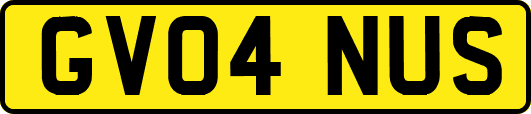 GV04NUS