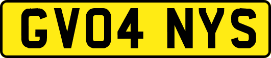 GV04NYS