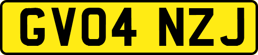 GV04NZJ