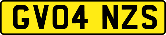 GV04NZS