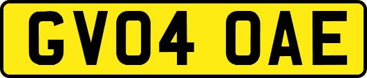 GV04OAE