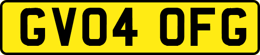 GV04OFG