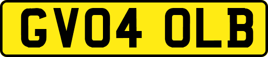 GV04OLB