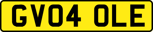 GV04OLE