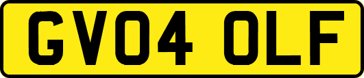GV04OLF