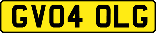 GV04OLG