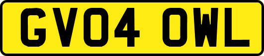 GV04OWL
