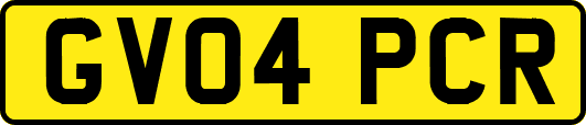 GV04PCR