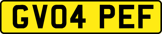 GV04PEF