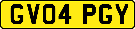 GV04PGY