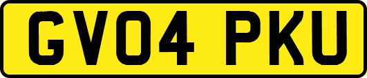 GV04PKU