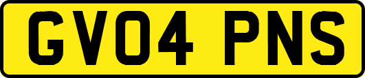 GV04PNS