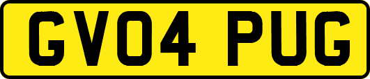 GV04PUG