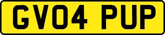 GV04PUP